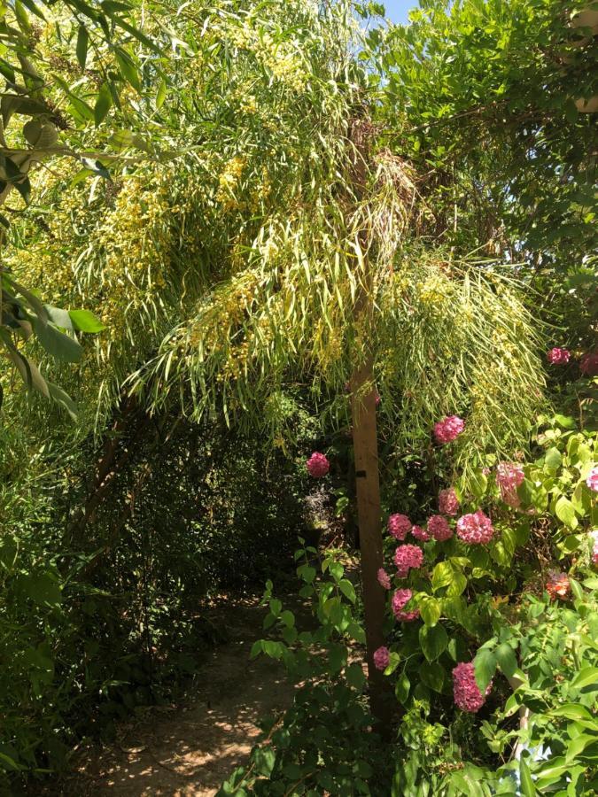 L Atypique Bed and Breakfast L'Ile-d'Olonne Buitenkant foto
